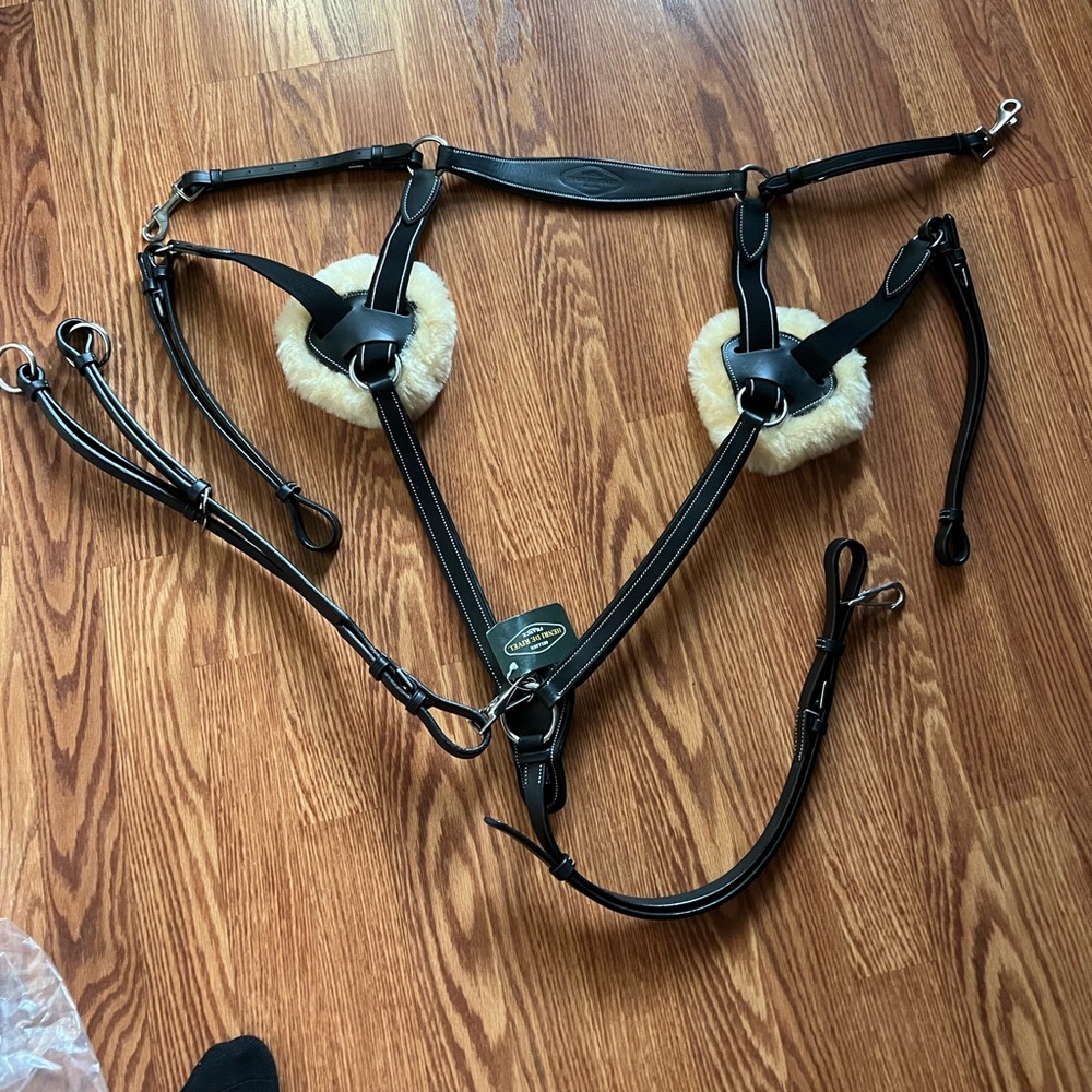 Black- HDR 5 point breastplate cob